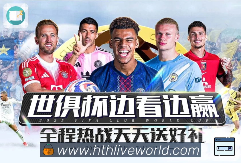 入口置顶与分类
